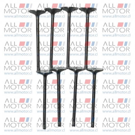 JUEGO VALVULA ADMISON MAXUS T60