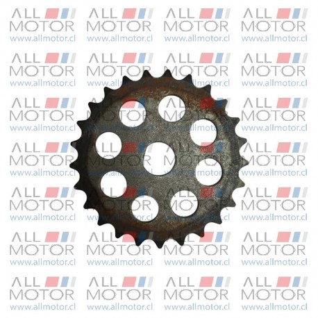 PINON BOMBA ACEITE  G10 1.9 MAXUS