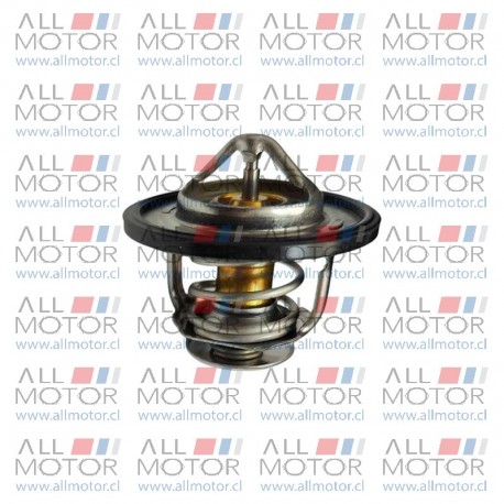 TERMOSTATO G10 1.9 MAXUS