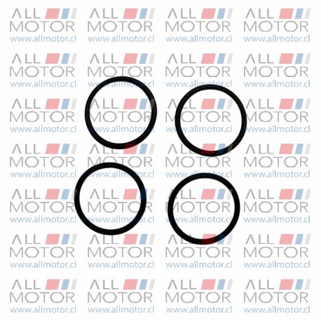 ORING INYECTOR  G10 1.9 MAXUS